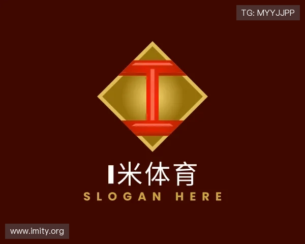 概述i米体育